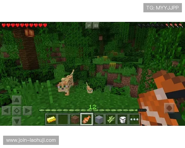 在线slots游戏的安全性、玩法多样性及盈利策略